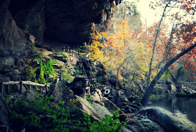 Hiking at Hamilton Pool gives you the opportunity to see many beautiful sights. Photo by Flora He