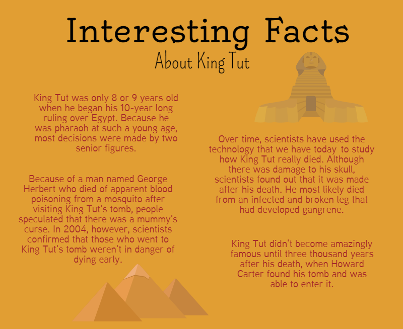 King Tut, a Famous Pharoah