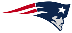 2015 Super Bowl Poll