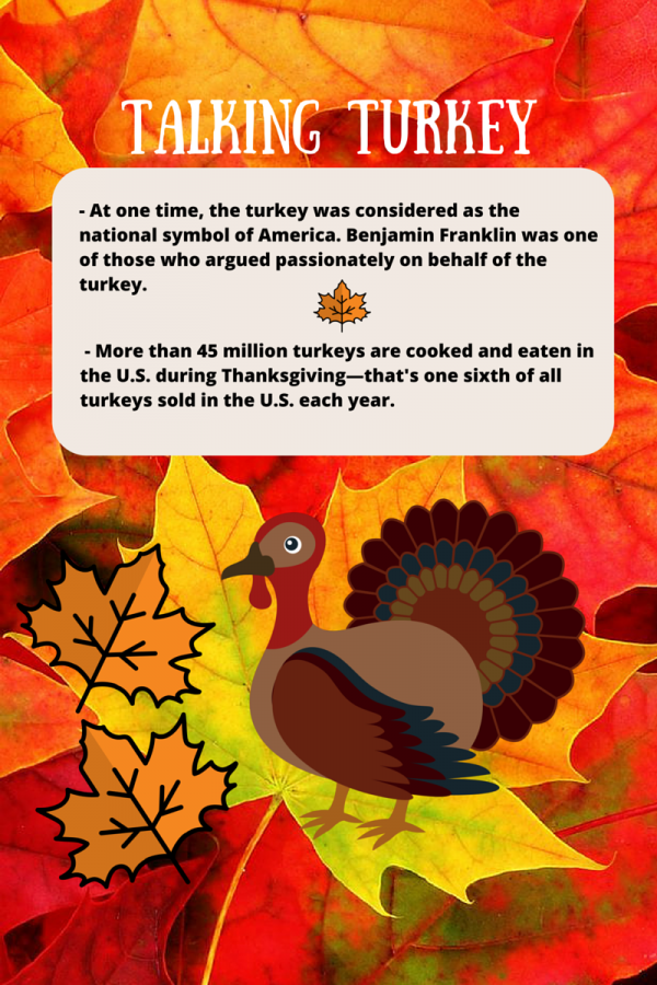 The Story Behind the Thanksgiving Turkey