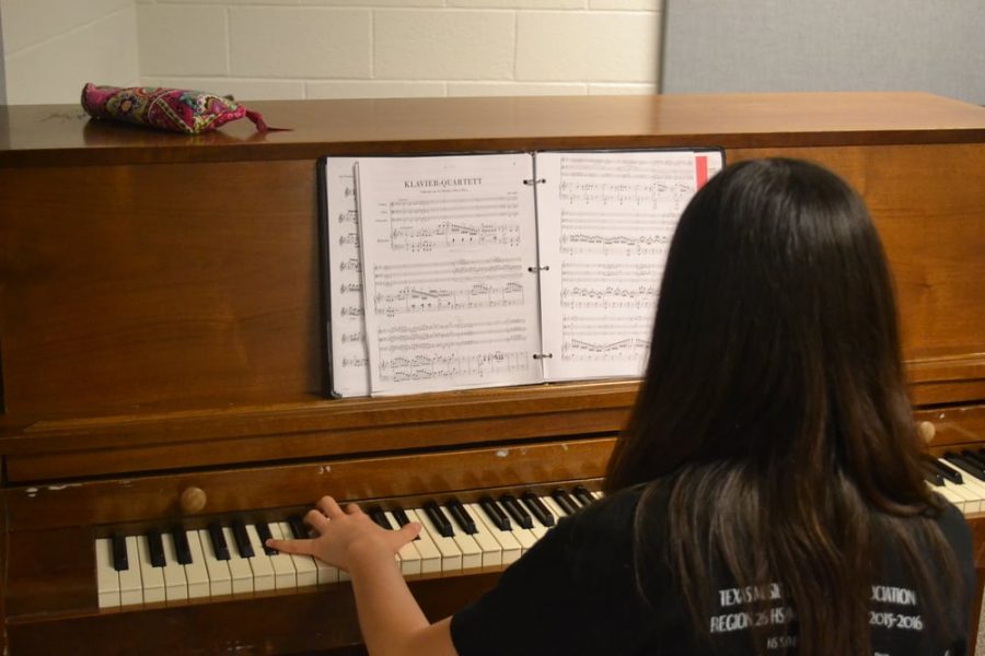 Chamber Music in the Public Schools