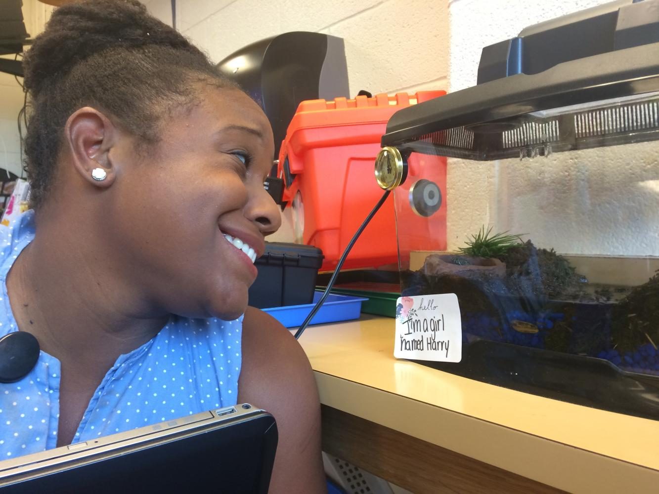 Mrs.Collins admiring Harry the Toad