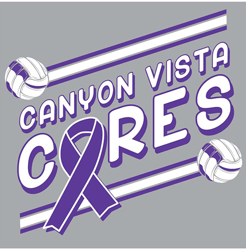 What is the Canyon Vista Cares Volleyball Game?