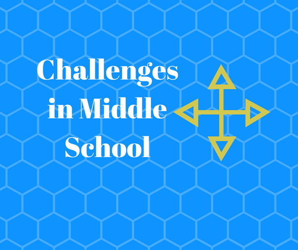 Challenges in Middle School