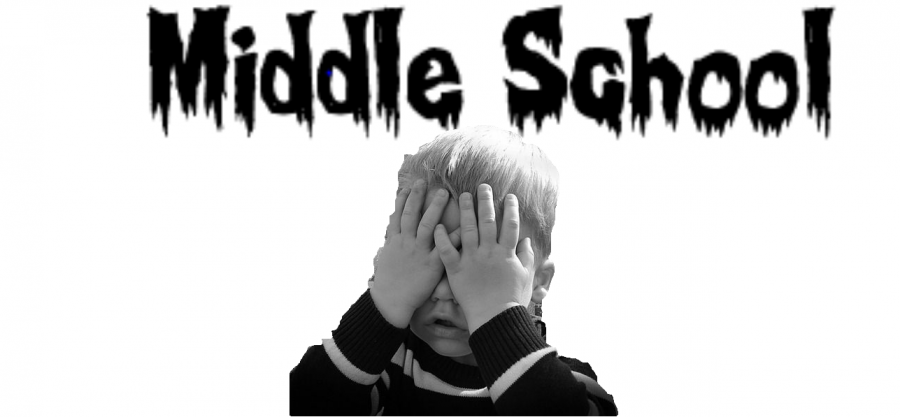 Middle School Fears