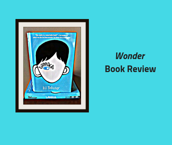 about wonder book