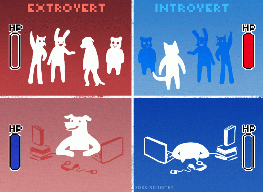 Are there More Introverts or Extroverts and Why?