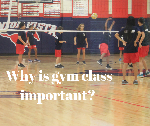Why Is Gym Class Important?