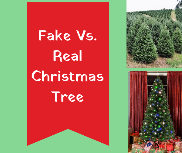 Canyon Echoes Real Christmas Tree Vs. Artificial Christmas Tree