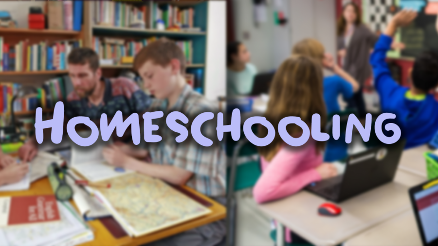 Homeschooling: Good or Bad?