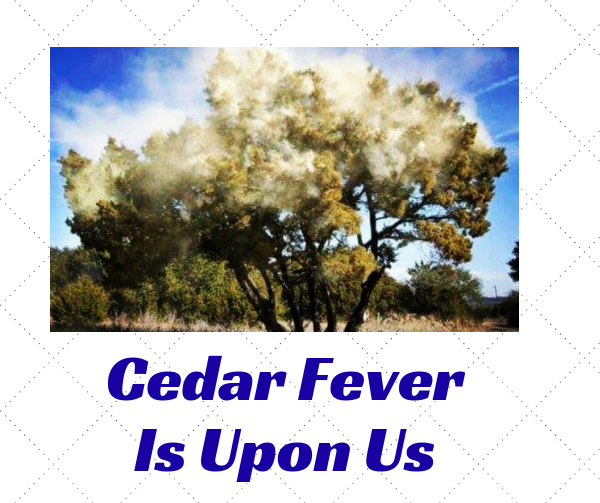 Cedar Fever Is Upon Us