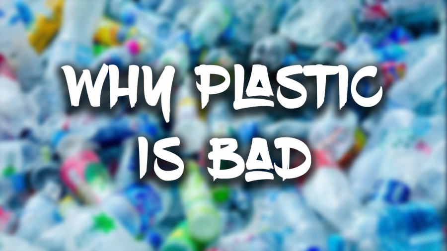 Why Plastic is Bad