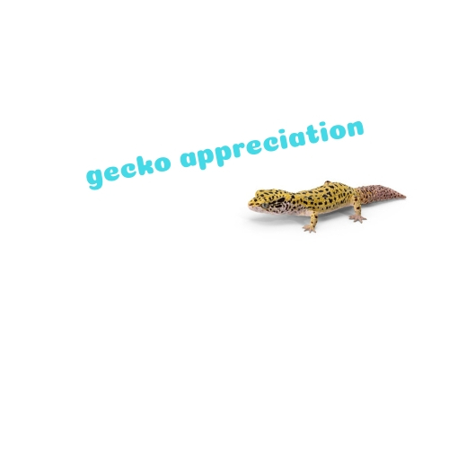 Gecko Appreciation