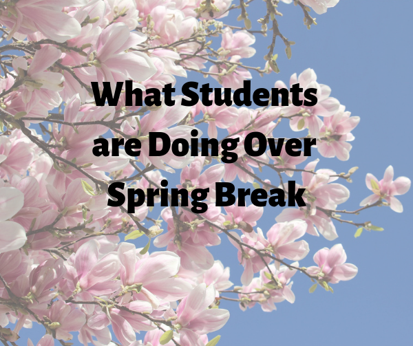 What CVMS Students are Doing for Spring Break