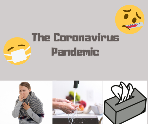 The Coronavirus Pandemic