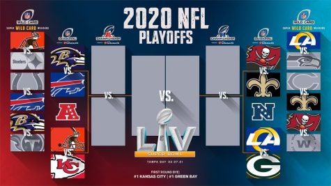 The NFL Divisional round, My Thoughts, Predictions and more