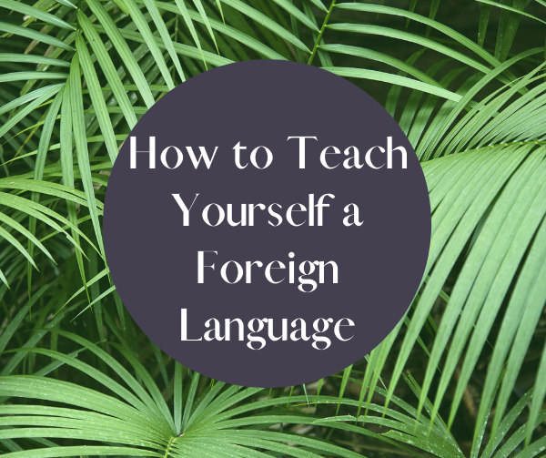 Tips for Teaching Yourself a Foreign Language
