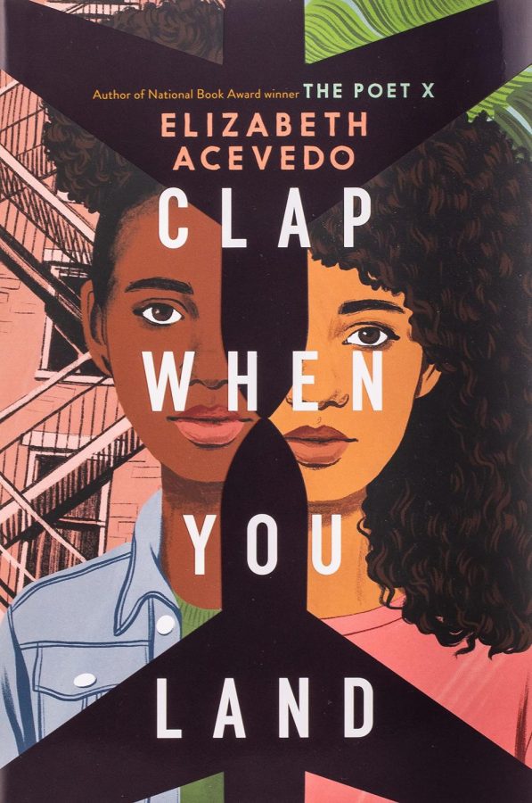 Clap When You Land: A book review