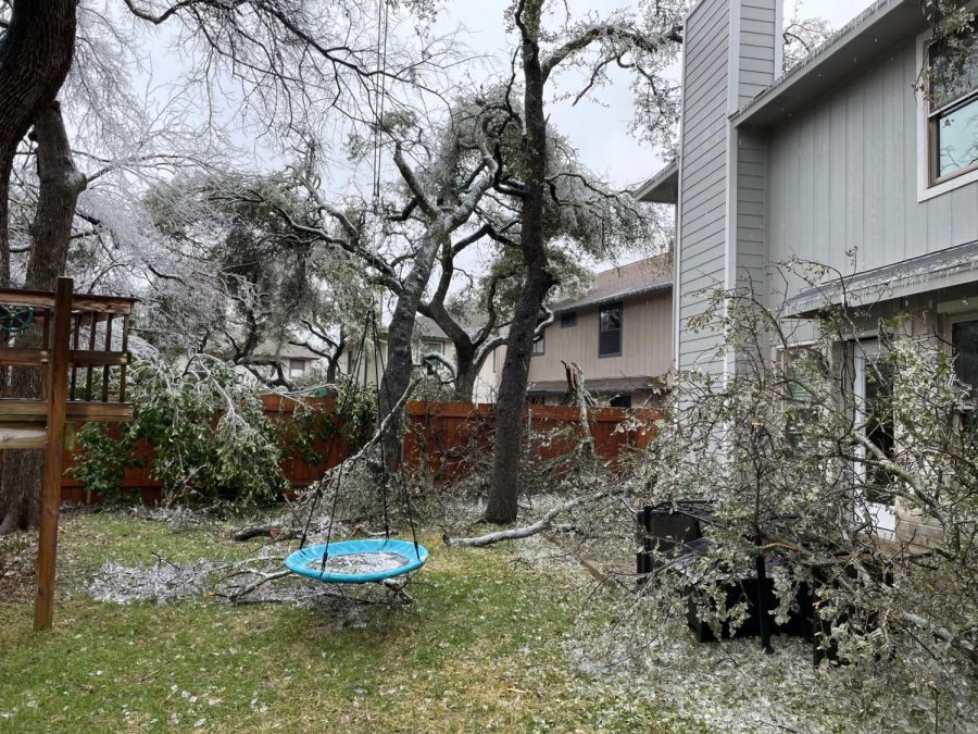 Tree and Ice Damage