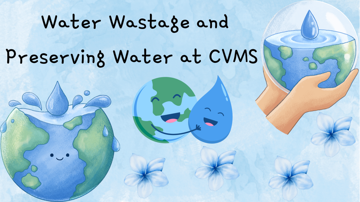 Water Wastage and Preserving Water at CVMS